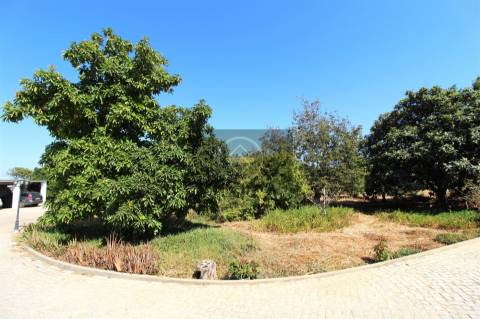 Moradia T5 com 4000m² de Terreno- Luz de Tavira