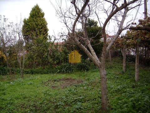 Lote de terreno de 400 m2.