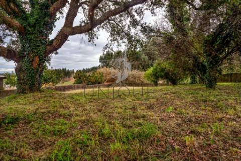 Terreno para Construção de Moradia Isolada