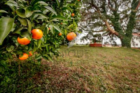 Terreno para Construção de Moradia Isolada