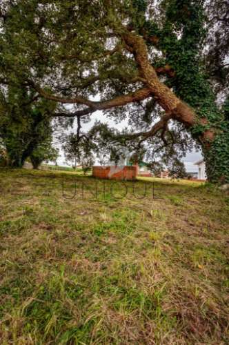 Terreno para Construção de Moradia Isolada