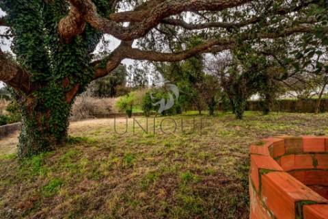 Terreno para Construção de Moradia Isolada