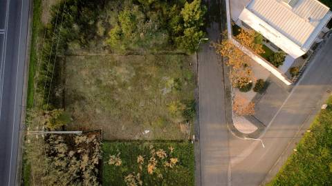 Oportunidade Única: Terreno em Mamodeiro com 517m2