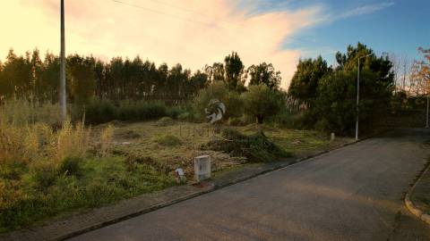 Oportunidade Única: Terreno em Mamodeiro com 517m2