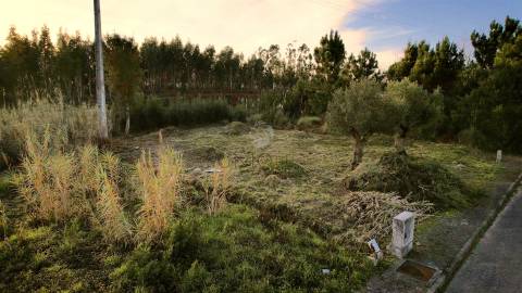 Oportunidade Única: Terreno em Mamodeiro com 517m2