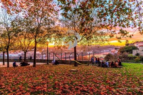 Loja  Venda em Cedofeita, Santo Ildefonso, Sé, Miragaia, São Nicolau e Vitória,Porto