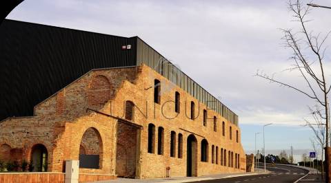 Excelente T3 Novo no Centro de Oliveira do Bairro - Oportunidade Única!