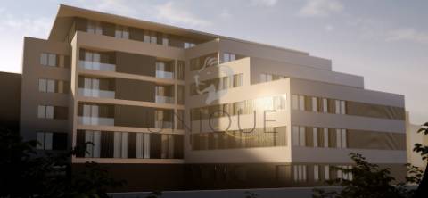 Excelente T3 Novo no Centro de Oliveira do Bairro - Oportunidade Única!