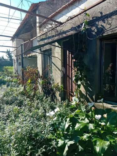 Moradia T4 para Recuperar em Esgueira | Terreno 435m²