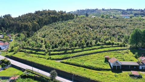 Quinta das Giestas em Tarouquela, Cinfães | Palacete, Capela e 58.852 m²