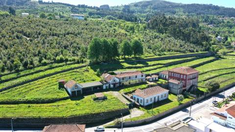 Quinta das Giestas em Tarouquela, Cinfães | Palacete, Capela e 58.852 m²