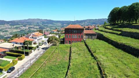 Quinta das Giestas em Tarouquela, Cinfães | Palacete, Capela e 58.852 m²