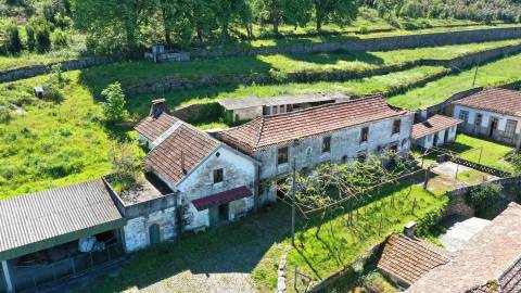 Quinta das Giestas em Tarouquela, Cinfães | Palacete, Capela e 58.852 m²