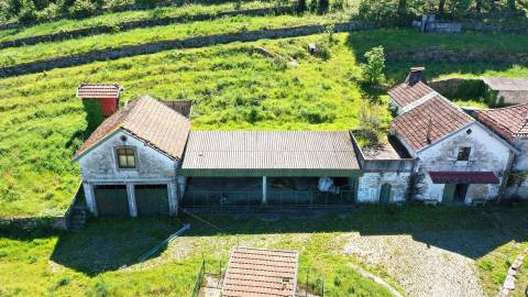 Quinta das Giestas em Tarouquela, Cinfães | Palacete, Capela e 58.852 m²