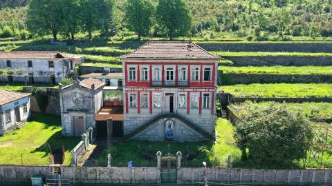 Quinta das Giestas em Tarouquela, Cinfães | Palacete, Capela e 58.852 m²