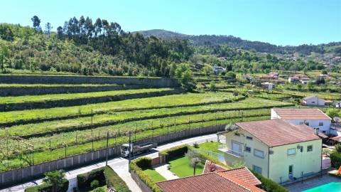 Quinta das Giestas em Tarouquela, Cinfães | Palacete, Capela e 58.852 m²