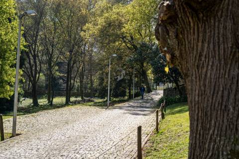 Loft Exclusivo na Quinta de Cravel em Vila Nova de Gaia | Remodelado e Mobilado