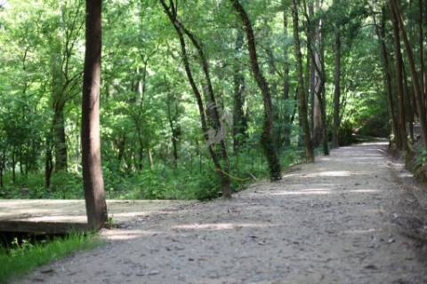 Apartamento T2 em Construção em Oliveira de Azeméis