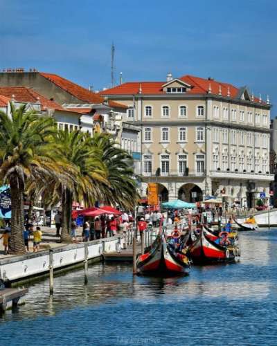 T2 Moderno no Centro de Aveiro