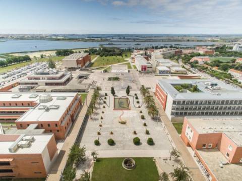 T1 Moderno no Centro de Aveiro