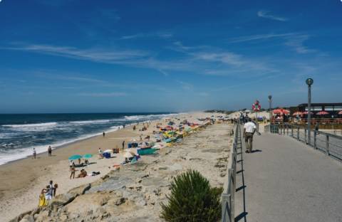 Apartamento T1 Venda em Gafanha da Boa Hora,Vagos