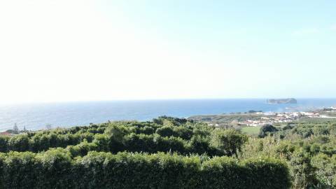 Terreno  Venda em Ribeira das Tainhas,Vila Franca do Campo