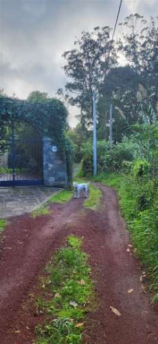 Terreno Para Construção  Venda em Rabo de Peixe,Ribeira Grande