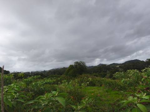 Terreno Para Construção  Venda em Lagoa (Nossa Senhora do Rosário),Lagoa (São Miguel)