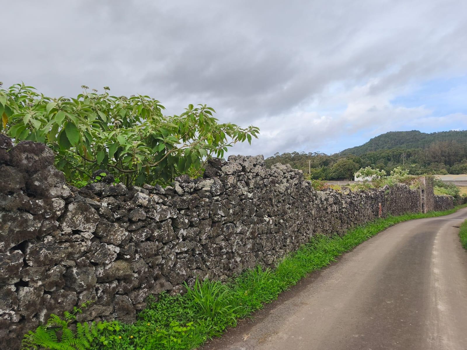 Terreno Para Construção  Venda em Lagoa (Nossa Senhora do Rosário),Lagoa (São Miguel)