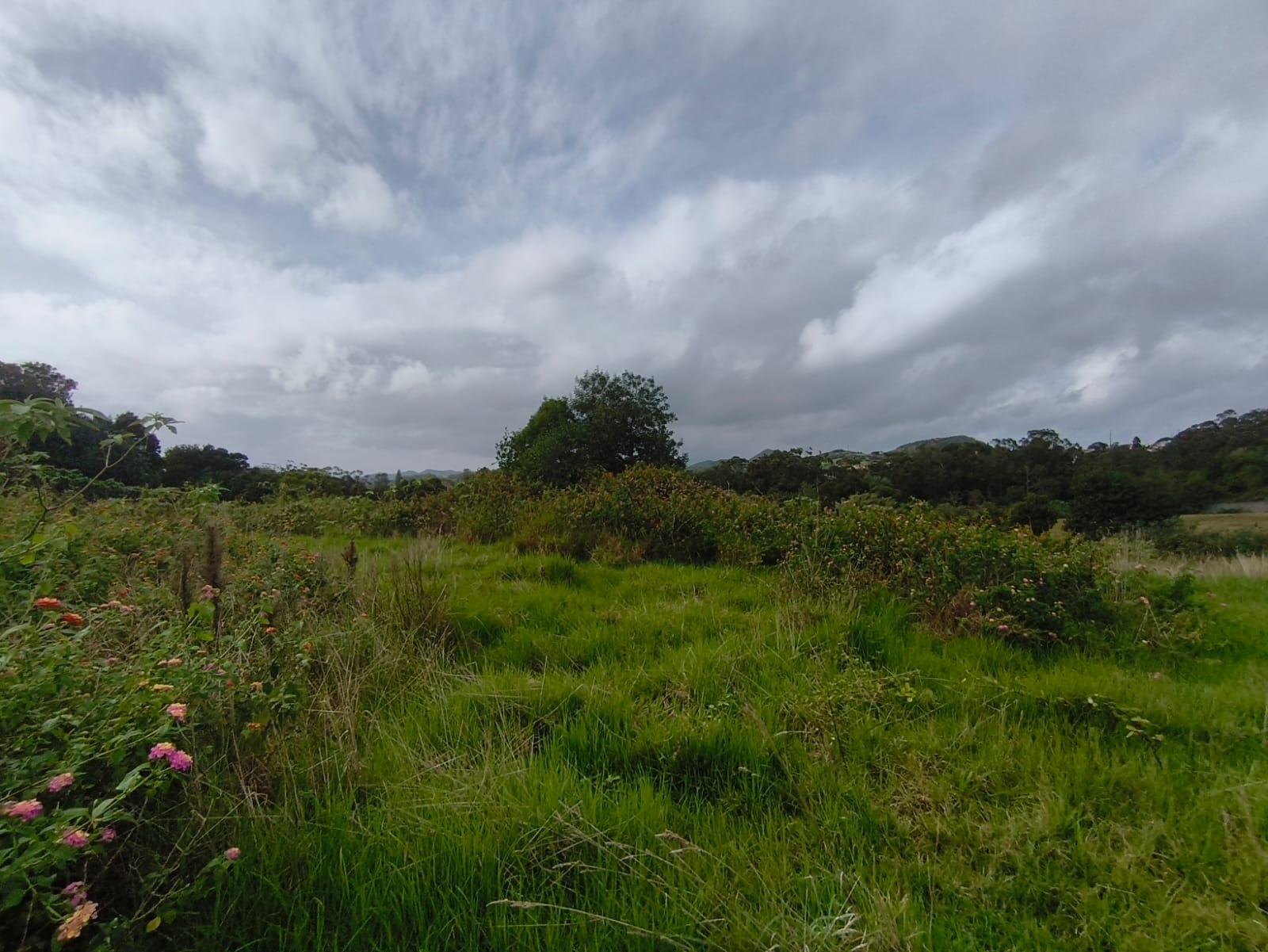 Terreno Para Construção  Venda em Lagoa (Nossa Senhora do Rosário),Lagoa (São Miguel)
