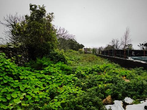 Moradia  Venda em Pico da Pedra,Ribeira Grande