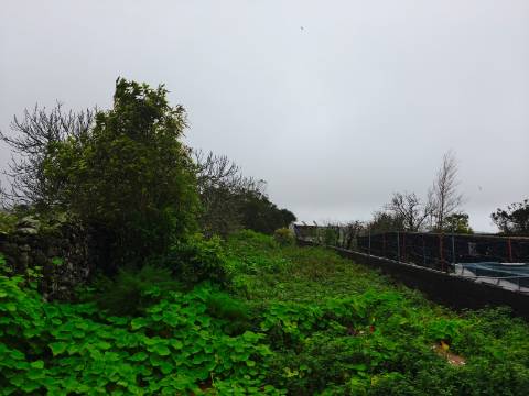Moradia  Venda em Pico da Pedra,Ribeira Grande