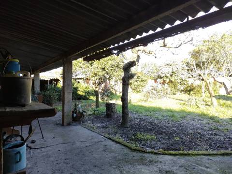 Moradia Isolada T4 Venda em Sosa,Vagos