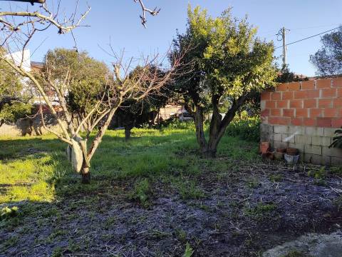 Moradia Isolada T4 Venda em Sosa,Vagos