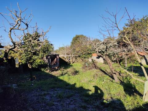 Moradia Isolada T4 Venda em Sosa,Vagos