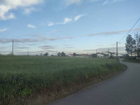 Lote de Terreno  Venda em Trofa, Segadães e Lamas do Vouga,Águeda