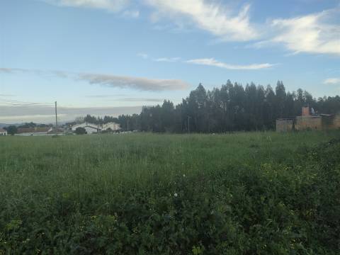 Lote de Terreno  Venda em Trofa, Segadães e Lamas do Vouga,Águeda