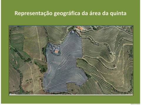 Quinta T3 Venda em Lobrigos (São Miguel e São João Baptista) e Sanhoane,Santa Marta de Penaguião