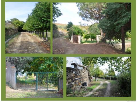 Quinta T3 Venda em Lobrigos (São Miguel e São João Baptista) e Sanhoane,Santa Marta de Penaguião