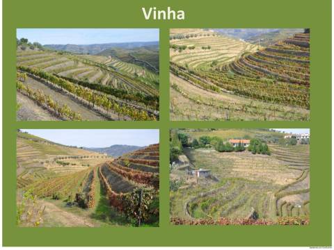 Quinta T3 Venda em Lobrigos (São Miguel e São João Baptista) e Sanhoane,Santa Marta de Penaguião