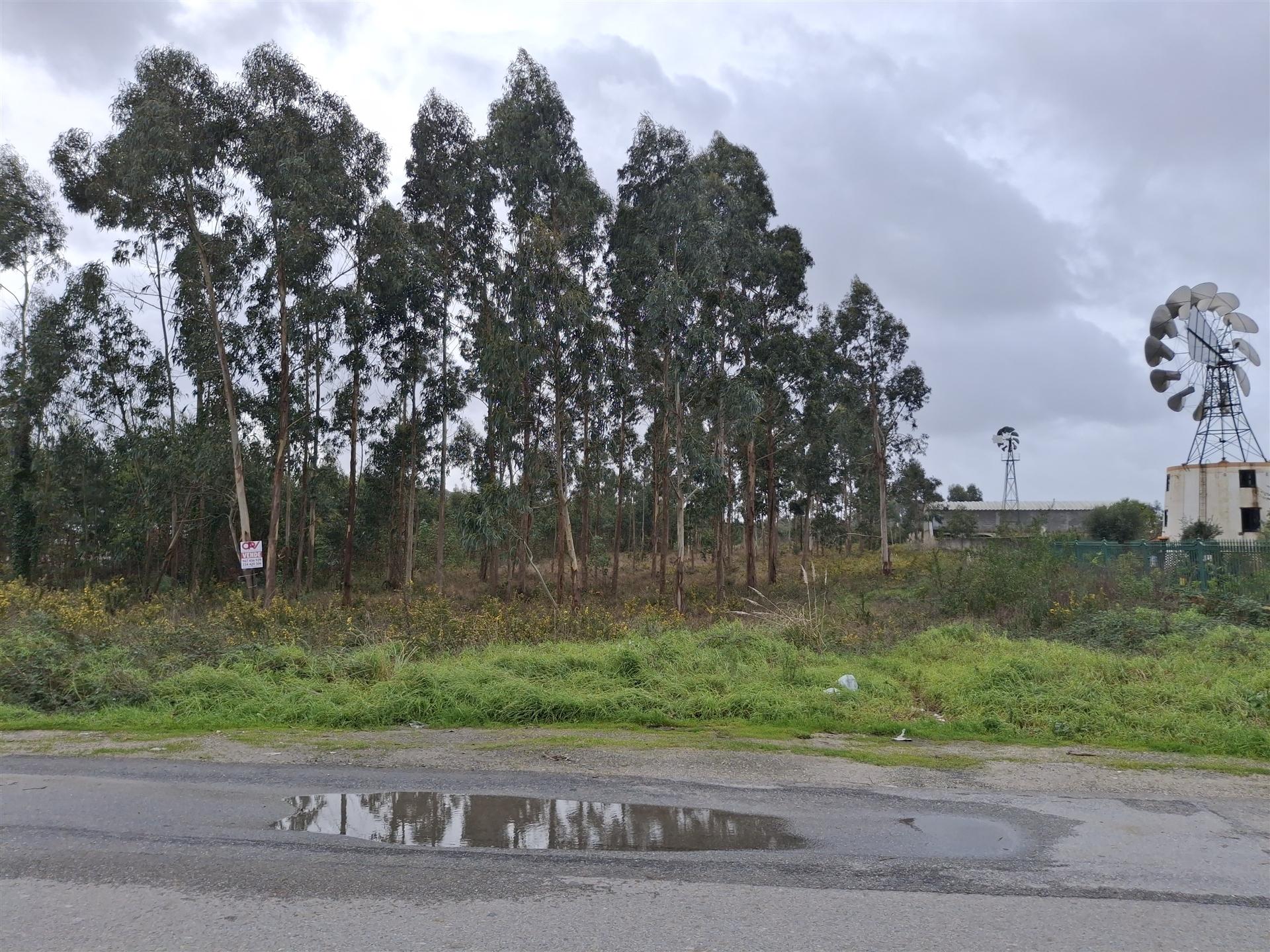 Terreno Para Construção  Venda em Ílhavo (São Salvador),Ílhavo