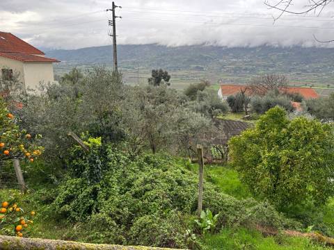 Andar Moradia T3 Venda em Belmonte e Colmeal da Torre,Belmonte