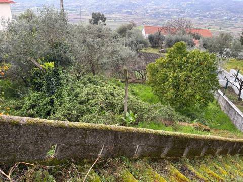 Andar Moradia T3 Venda em Belmonte e Colmeal da Torre,Belmonte