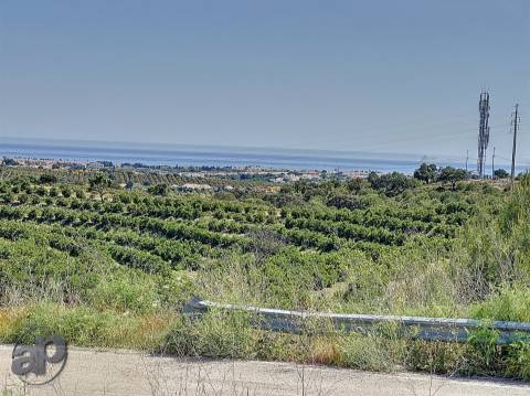 Terreno e ruína para venda