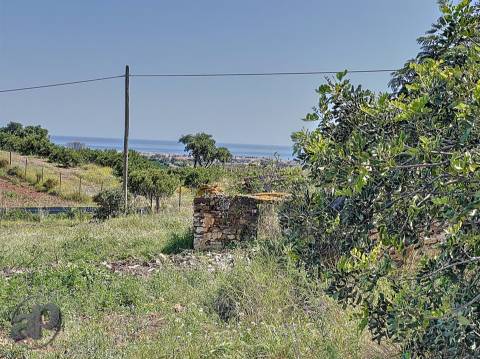 Terreno e ruína para venda