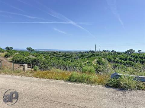 Terreno e ruína para venda