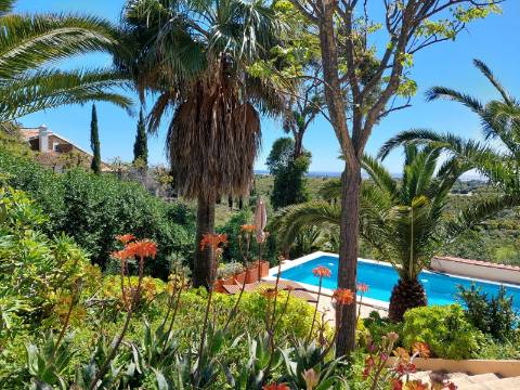 Moradia T2+1 com piscina