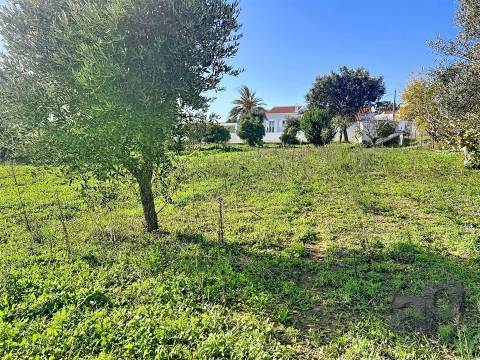 Moradia Térrea T5 com Piscina