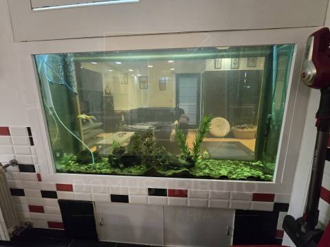 Moradia de 4 frentes, Traça única e Moderna com Piscina Aquecida, Aveleda