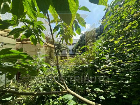 Terreno para Construção | 2ª Linha de Mar | Praia da Agudela, Lavra